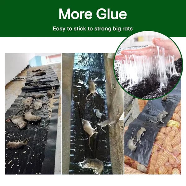 🔥 Last Day Buy 2 Get 2 Free 🐭 47" Extra-Long Mouse Glue Trap – Strong Grip & Easy Setup ✨